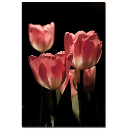 Martha Guerra 'Pink Tulips III' Canvas Art,22x32